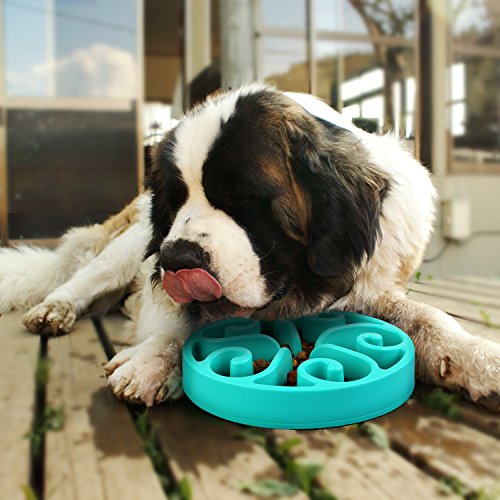 pedy-pet-fun-feeder-dog-bowl-slow-feeder-slow-feed-dog-bowl-bloat
