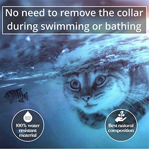 Flea Tick Prevention for Cats - Cat Flea Collars Flea Tick Prevention Cat Flea Treatment Flea Protection Pet Flea Collars Fit All Cats Fleas Ticks for Flea Control Cats - Thumbnail 7