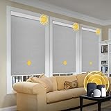 CITOLEN Motorized Blinds with Valance Cover