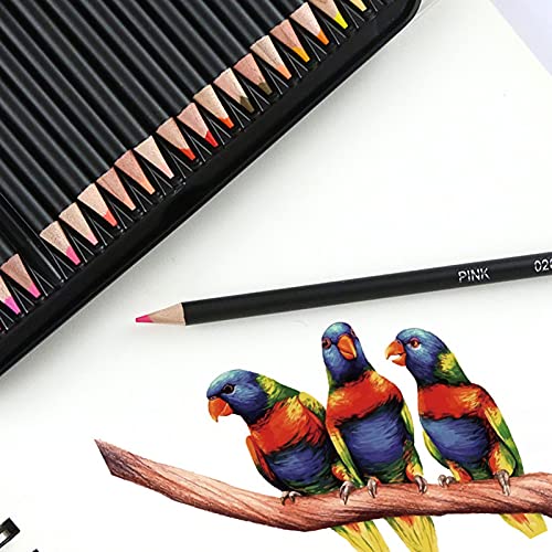 Colored Coloring Pencils for Adult Coloring, Drawing Pencils Set of 72 Professional & Premium Soft Wax-Based Cores Art Pencil Set for Drawing Sketching Shading, Ideal Gift for Adults Artists Beginners