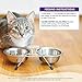 Wellness Complete Health Pate Adult Wet Cat Food, Natural, Protein-Rich, Grain Free, 12.5 Ounce, 12 Pack, (Turkey & Salmon)