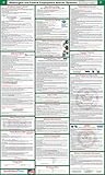 2017 (SPANISH) Washington State and Federal Labor Law Poster - Laminated 24