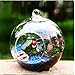 Set of 18pcs 3.15 inches Hanging Tealight Candle Holder Glass Globes DIY Plants Terrarium Wedding Home Decorations…