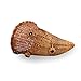The Lucky Clover Trading 7006M Harvest Fern Cornucopia, Medium Basket, Brown