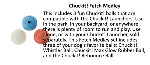 Chuckit! Medium Fetch Medley Balls 2.5-Inch, 3-Pack