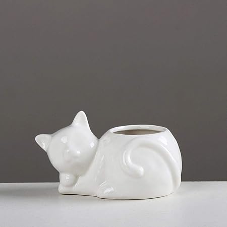 Likezz Mignon Animal Chat En Ceramique En Ceramique Succulente Vase Pot De Plante De Fleur Pour La Maison De Jardin Decoration De Bureau Chat Blanc A Genoux Amazon Fr Cuisine Maison