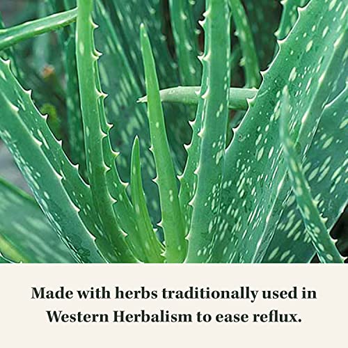 Gaia Herbs Reflux Relief with Marshmallow Root, Chamomile, Aloe