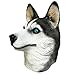 Off the Wall Toys Dogs Husky Costume Face Mask Kennel Club Dog Mask for Halloween Sports and More