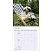 Chinese Crested 18 Month 2016 Traditional Wall Calendar