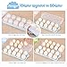Egg Holder Kitchen Egg Tray, Clear Egg Storage Container Kitchen with Lid for Refrigerator Portable Egg Case Storage Bin for Fridge Camping, 10/20 Eggs Box Carrier (Blue)