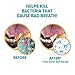 Arm & Hammer for Pets Clinical Care Dental Enzymatic Toothpaste for Dogs Soothes Inflamed Gums Safe for Puppies 1 Pack Fresh Breath Vanilla Ginger (Pack of 1)