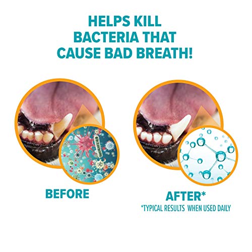 Arm & Hammer for Pets Fresh Breath Enzymatic Toothpaste for Dogs