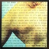 Disco de Cat Power: «Dear Sir» (Anverso) Disco de Cat Power: «Dear Sir» (Anverso)