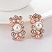 Broadfashion Bluelans Women's Party Wedding Jewellery Sets Elegant Rose Gold Plated Faux Pearl Crystal Collar Necklace Earrings Set
