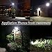 LED Flood Light 50W,HN Waterproof Outdoor Spot Lights 5000lm Daylight 6500k Floodlights with US-3 Plug&Switch for Yard,Garage,Garden,Lawn
