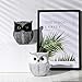 NJCHARMS Owl Statue Decor, Small Crafted Buho Figurines for Home Decor Accents, Living Room Bedroom Office Decoration, Buhos Bookself TV Stand Decor - White