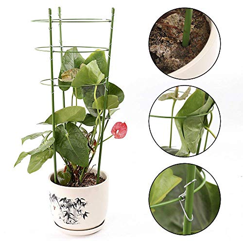 Alapaste Plant Support Ring Garden Trellis Plant Support Cage with 3 Adjustable Rings for Potted Climbing Plants Vegtables Flowers - Thumbnail 2