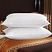 Topsleepy Goose Down and Feather Filling Queen Bed Pillows, 2-Pack, Cotton Cover, 300 TC,Queen/Standard Size