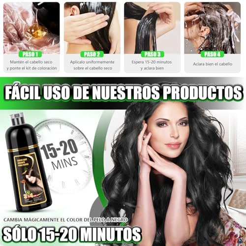 Shampoo con Tinte 3 en 1 Hair Dye Shampoo Negro Cubre Canas al Instante Extracto Jengibre y Ginseng Tratamiento Capilar Colorante 500ml para Todo Tipo de Cabello Mujer y Hombre