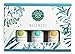 Wellness Essential Oil Blend Set | Cold Stopper | Natural Undiluted Therapeutic Grade Oils| for Diffusion Internal or Topical