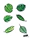 Stickerbrand Set of 48 Tropical Plant Leaves Wall Decal, Hawaiian Party Beach Theme Decor. Great for Birthdays, Prom, Wedding Events #6094m
