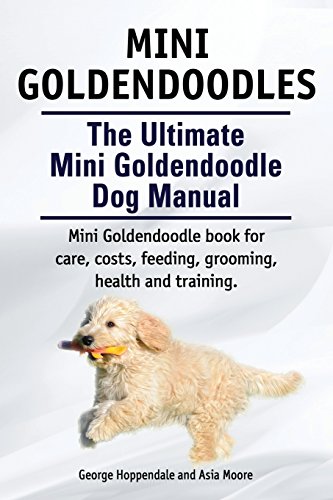 cost to groom a goldendoodle