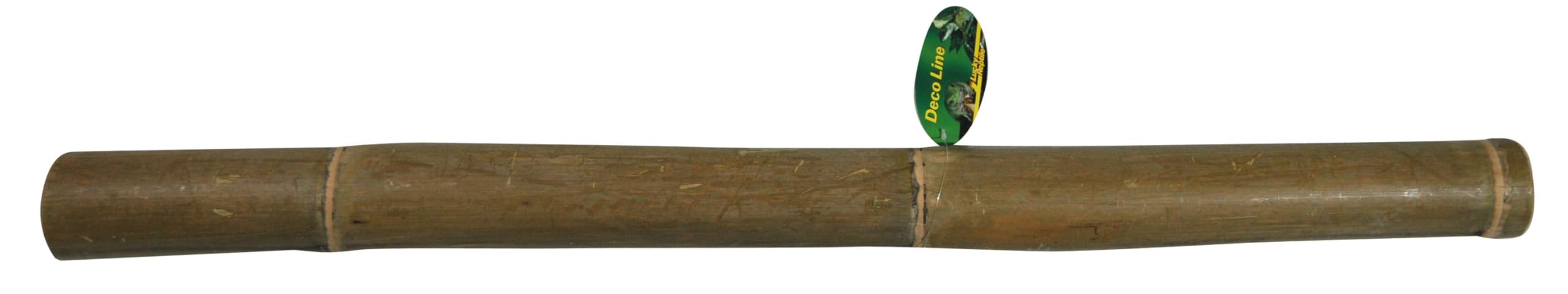 Lucky Reptile DLB-15 Bamboo Stick, 5 cm x 1m
