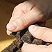 Jinglong Tea Factory - Puerh Tea Road Brick (24 portions) – Ripe Pu-erh Tea (3.6 ounces/100g)