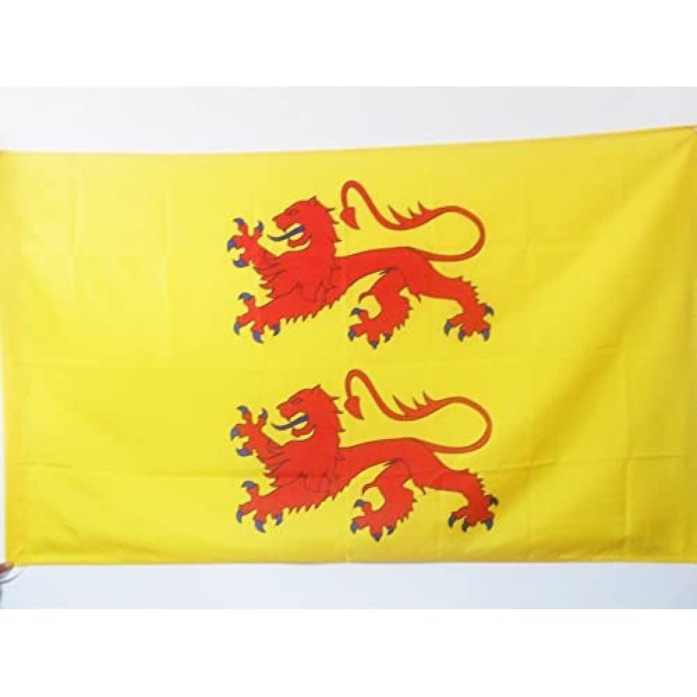 AZ FLAG - County of Bigorre Flag - 2x3 Ft - Bigorre county Banner with Sleeve - 100% Polyester - Fade Resistant - Vivid Colors - 2' x 3' Feet - 90x60 Cm