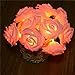 INST 10 LED Pink Rose Flower Fairy Lights