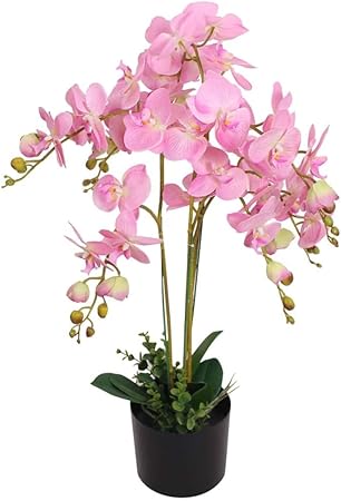 Vidaxl Orchidea Artificiale Con Vaso 75 Cm Rosa Piante Finte Fiori Arredo Casa Amazon It Casa E Cucina