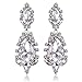 Miraculous Garden Women's Silver Gold Rose Gold Tone Plated Crystal Rhinestone Drop Earrings for Mother's Day (Silver tone plated white crystal)