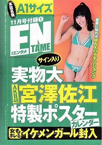 Amazon Akb48宮澤佐江実物大 品ポスタークリアファイル アイドル 芸能人グッズ 通販