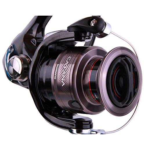 Shimano Catc3000hgfd Catana 3000 Moulinet à Roulement Droit, 2bb + 1rb, 6.2:1