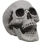MOKRY PARTY Life Size Skeleton Skull for Halloween Decor Graveyard Outdoor White