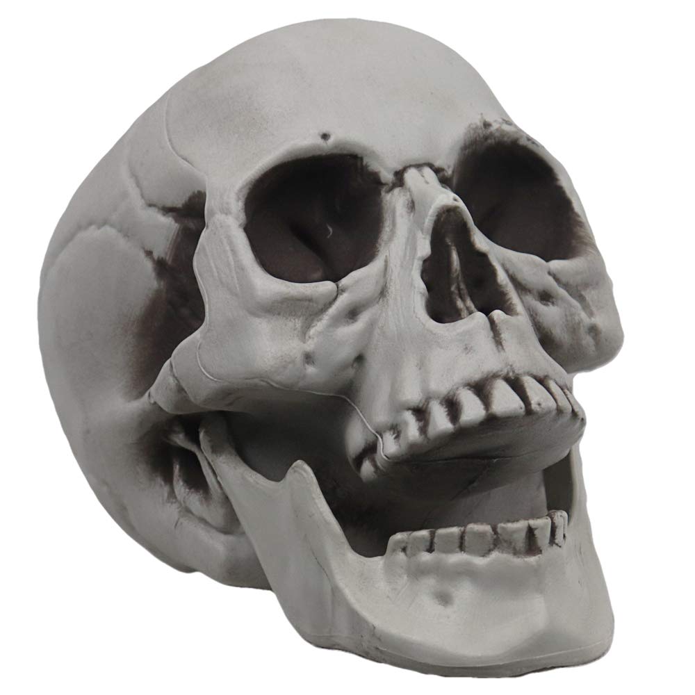 Photo 1 of MOKRY PARTY Life Size Skeleton Skull for Halloween Decor Graveyard Outdoor White