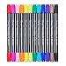Dual Tip Watercolor Markers - Brush Colored Pens for Adult&Kids Coloring Books, Fine&Brush Tip,Pack of 12
