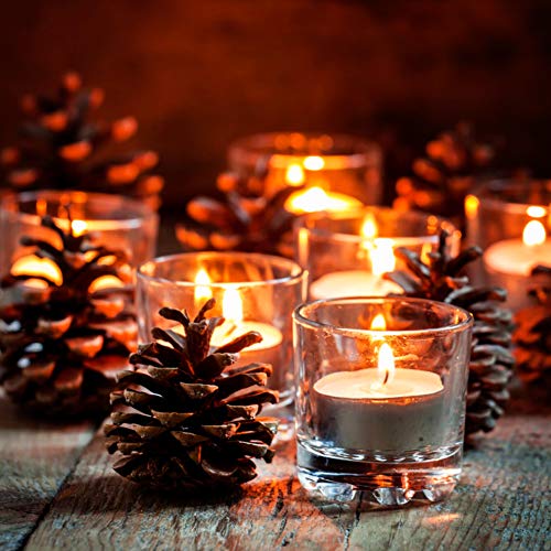 HANGNUO 140PCS Natural Pine Cones and Artificial Acorns for Crafts Ornaments Fall Thanksgiving Christmas Vase Filler Farm House Decoration