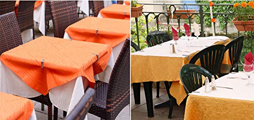 Branger Tablecloth Clips 24 Pack, Stainless Steel Picnic Table Cloth Clips, Flexible Outdoor Indoor Table Cover Clamps/Holders for Party, Camping, Wedding & Household - Thumbnail 5