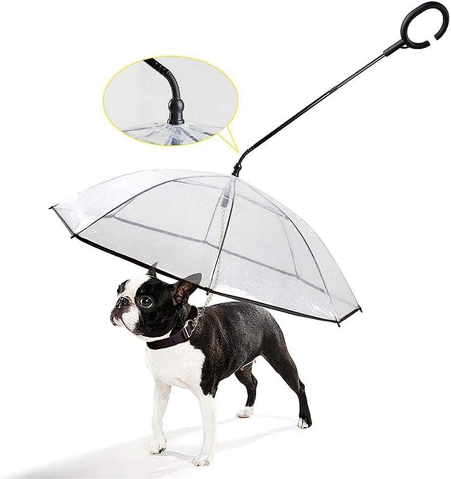 dog walking rain gear