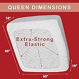 Premium Quality Mattress Protector - NO MORE WORRIES ABOUT KID OR PET ACCIDENTS RUINING MATTRESS 100% Waterproof Breathable Hypoallergenic Dust Mite and Bed Bug Protection by My Perfect Dreams - QUEEN