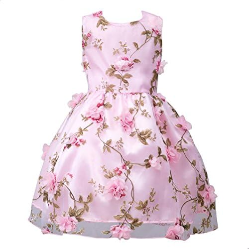 Baby Girl Dress Daoroka Kids Floral Sleeveless Princess Wedding Bridesmaid Birthday Party Formal Tutu Ball Gown Skirts Holiday Cute Sweet Soft Summer Beautiful Casual A Line Sundress (130/7T, Pink)