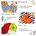 Daisy Cute Animal Wrist and Foot Rattles Finder Socks Set for Infant Baby Velcro Design Developmental Toys Set Elephant and Monkey - Wonderful Baby Gift