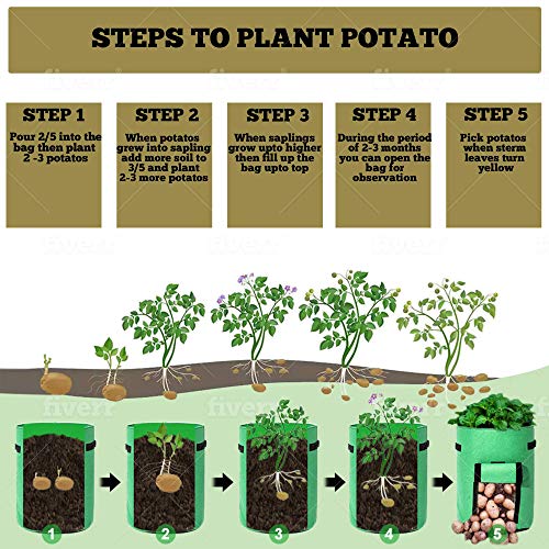 Potato Grow Bags, 3 Pack 5, 7 & 10 Gallons Garden Planting Bags, Vegetables Planter Bags, Non-Woven Aeration Fabric Pot Growing Bags with Handle and Access Flap with a Pair of Gardening Genie Gloves