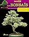 les bonsais by