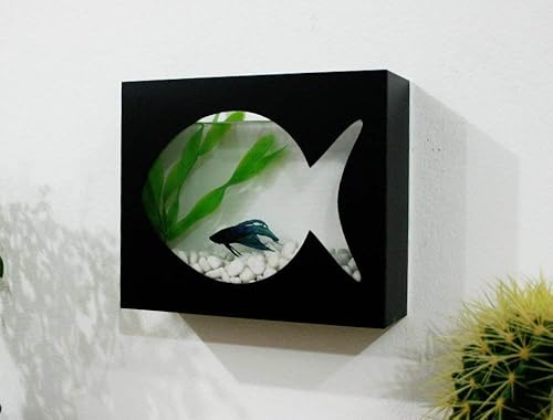wall mounted fish tank