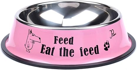 Chx Bol Pour Chien Bol De Chat Bol De Chat Bol De Chien Big