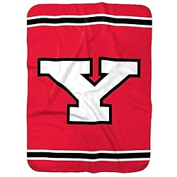 Youngstown State Penguins Primary Logo Stripes
