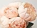 Iuhan1 Bouquet 6 Heads Artificial Peony Silk Flower Leaf Home Wedding Party Decor (Pink)
