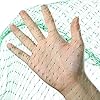 4-M-x-10-M-Anti-Bird-Protection-Net-Garden-Plant-Mesh-Netting-Fruit-Trees-Netting-with-Cable-Ties-and-U-Shaped-Garden-Pegs-Green Birds Netting Garden Green Anti Bird Protection Net for Fruit and Vegetables Plant Tree Mesh Netting Against Animals…